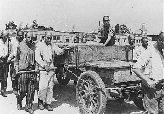 Prigionieri ai lavori forzati. Ispezione SS. Dachau 28 giugno 1938